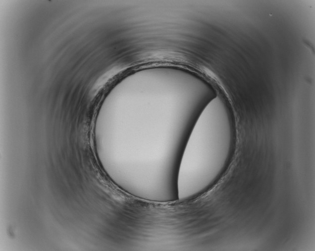 X0000099961019200805231021