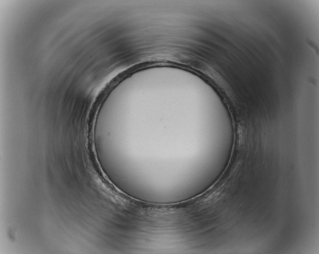 X0000099961020200805231021