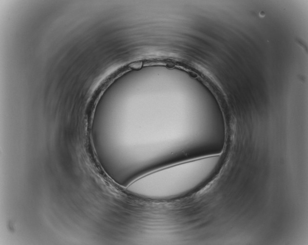 X0000099961021200805231021