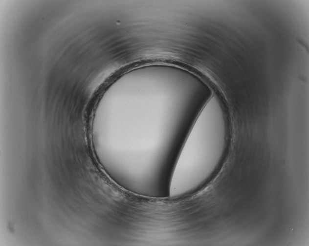 X0000099961022200805231021