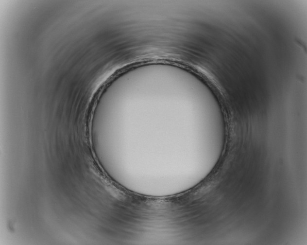 X0000099961023200805231021