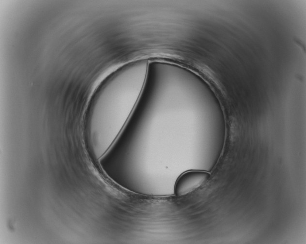 X0000099961024200805231021