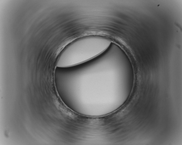 X0000099961025200805231021