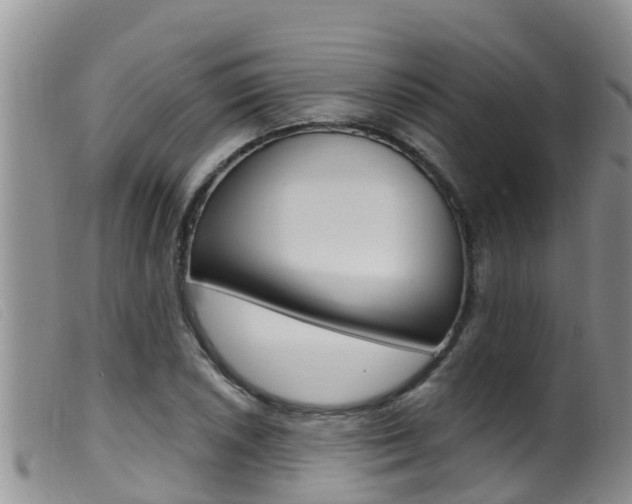 X0000099961026200805231021