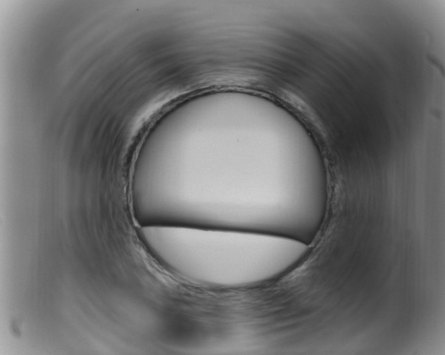 X0000099961027200805231021