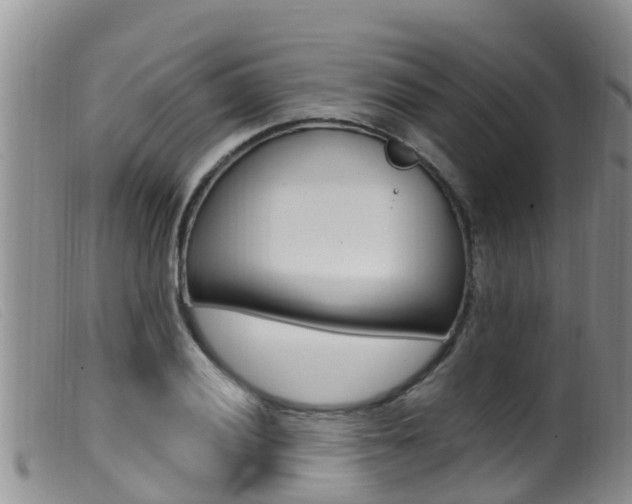 X0000099961028200805231021
