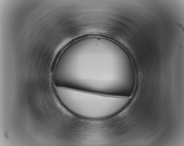 X0000099961029200805231021