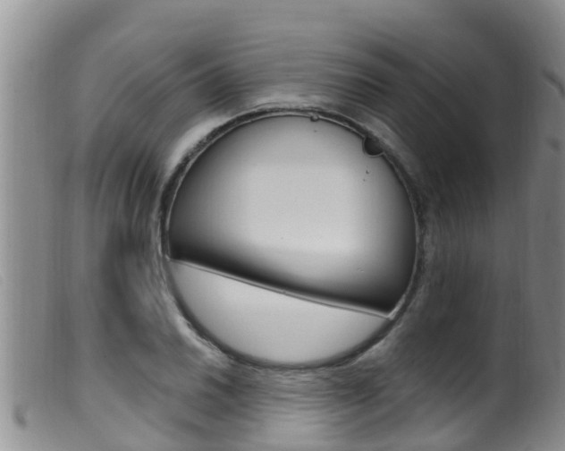 X0000099961030200805231021