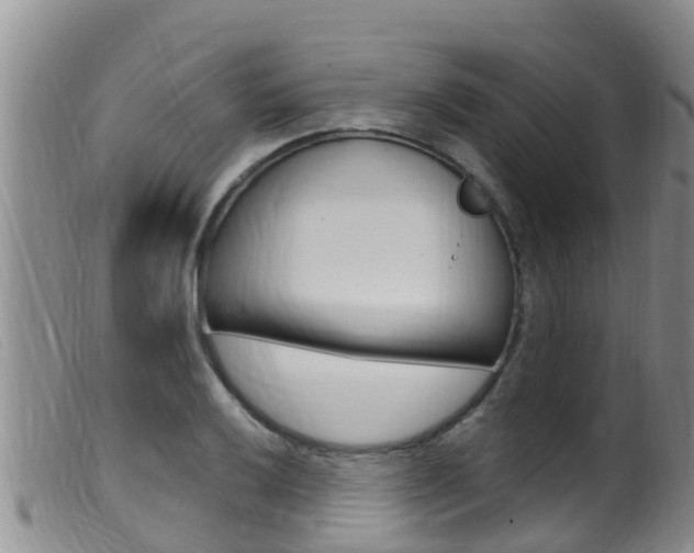 X0000099961032200805231022