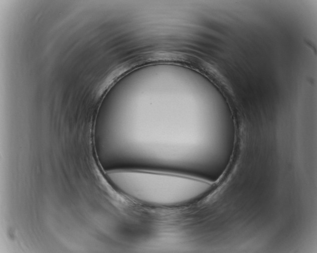 X0000099961033200805231022
