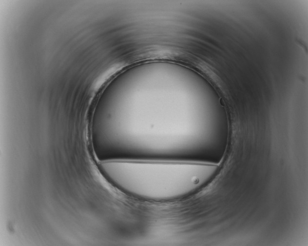 X0000099961034200805231022