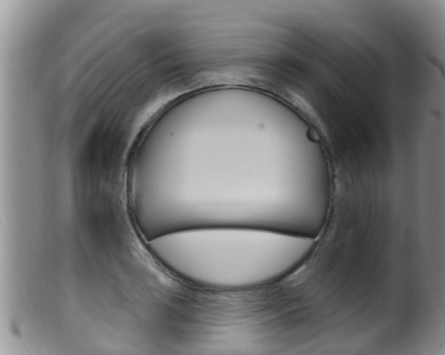 X0000099961035200805231022