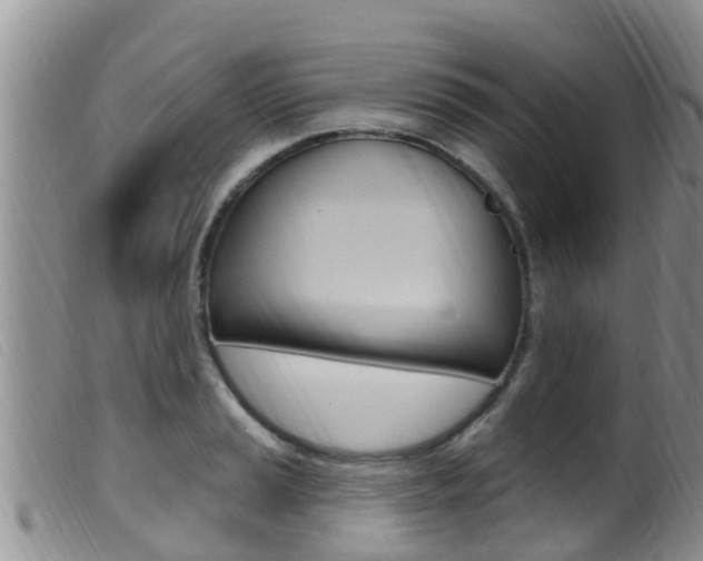 X0000099961037200805231022
