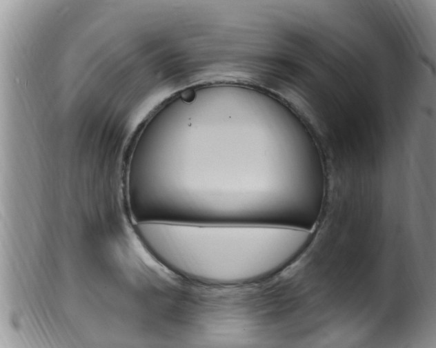 X0000099961038200805231022