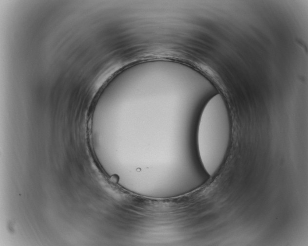X0000099961039200805231022