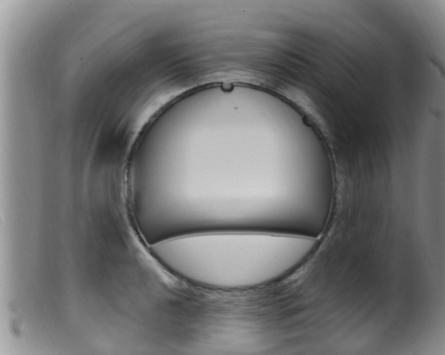 X0000099961040200805231022