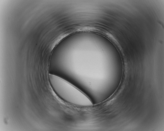 X0000099961041200805231022