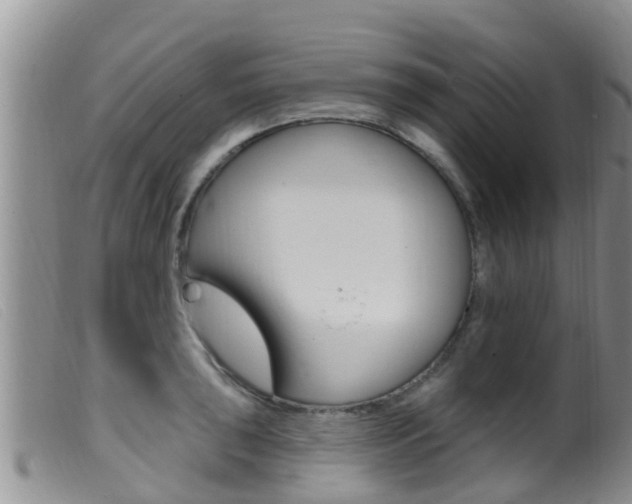 X0000099961043200805231022
