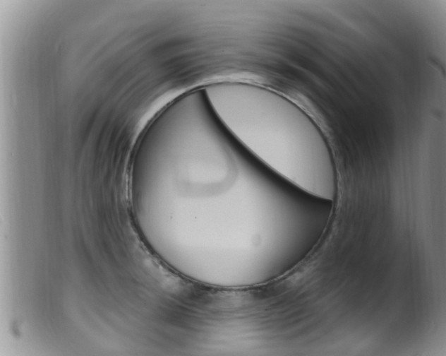 X0000099961044200805231022