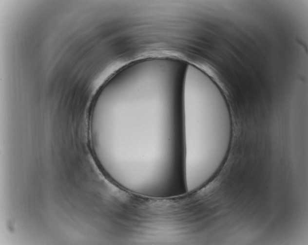 X0000099961046200805231022
