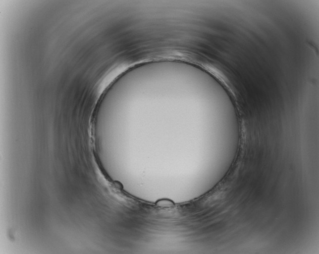 X0000099961047200805231022