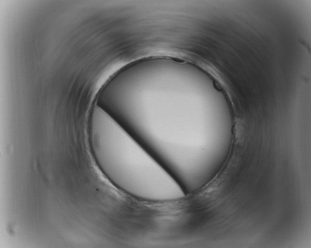 X0000099961048200805231022