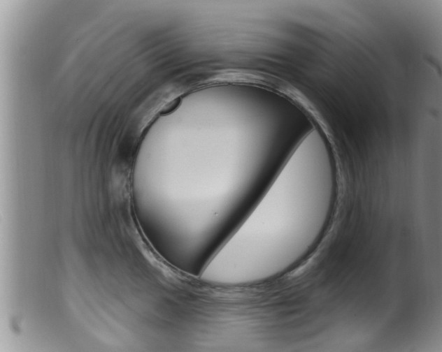 X0000099961049200805231022