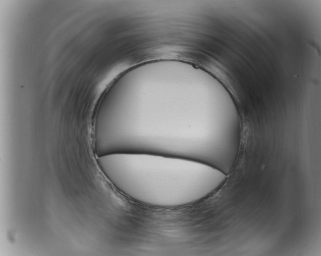 X0000099961051200805231022
