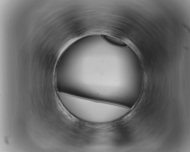 X0000099961052200805231022