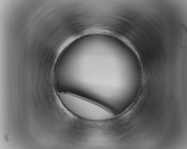 X0000099961053200805231022