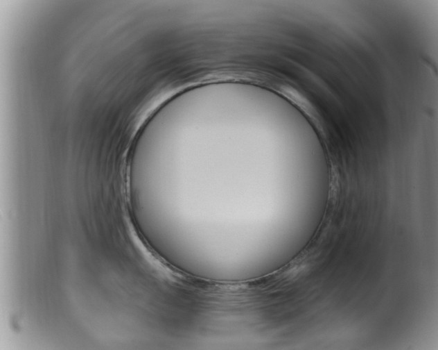 X0000099961055200805231022