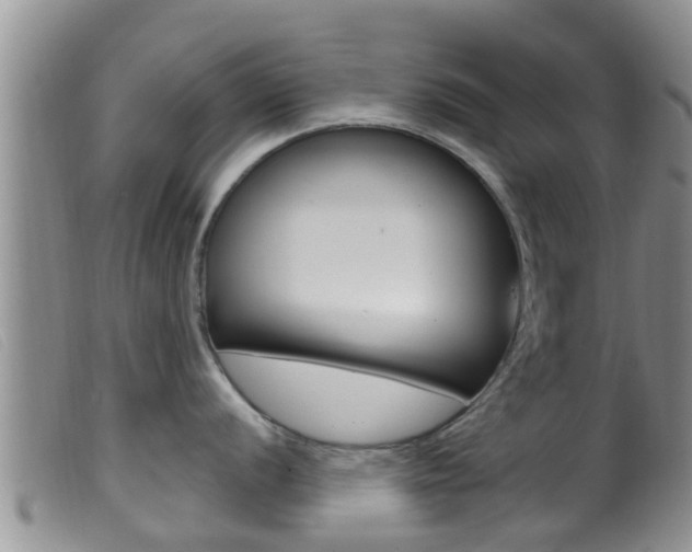 X0000099961056200805231022