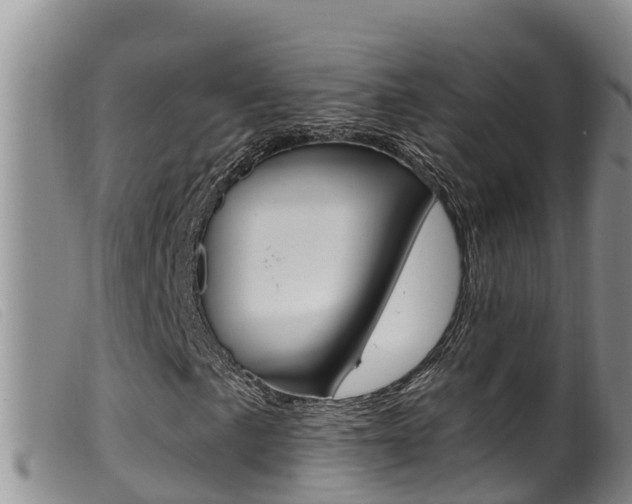 X0000099961057200805231021