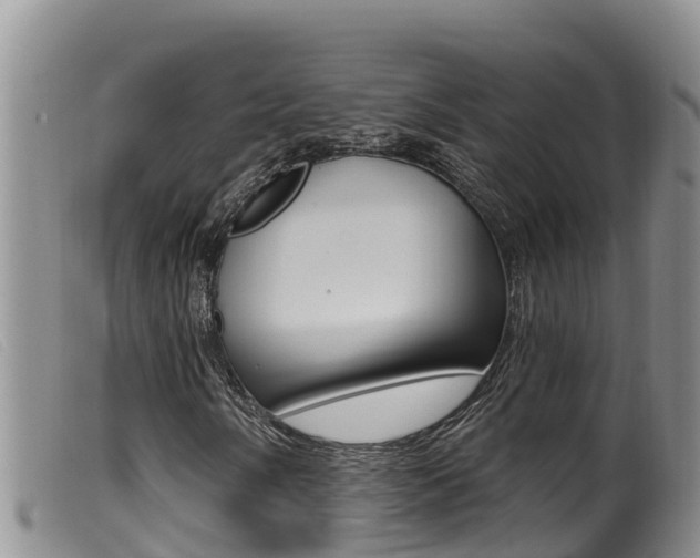 X0000099961058200805231021