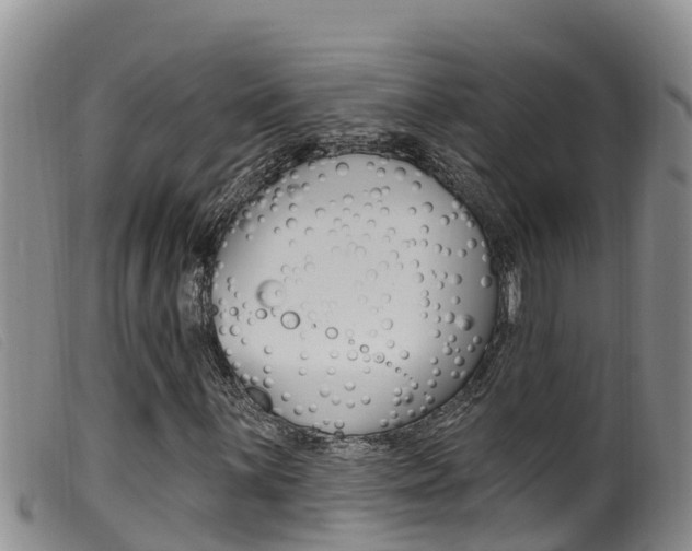 X0000099961059200805231021