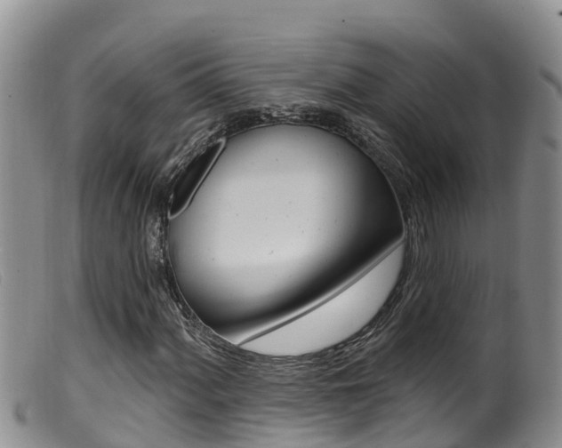 X0000099961060200805231021