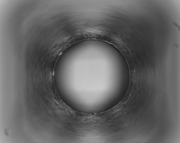 X0000099961061200805231021