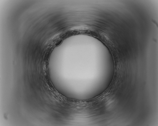 X0000099961062200805231021