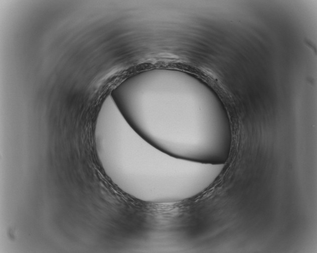 X0000099961063200805231021