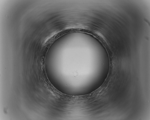 X0000099961064200805231021