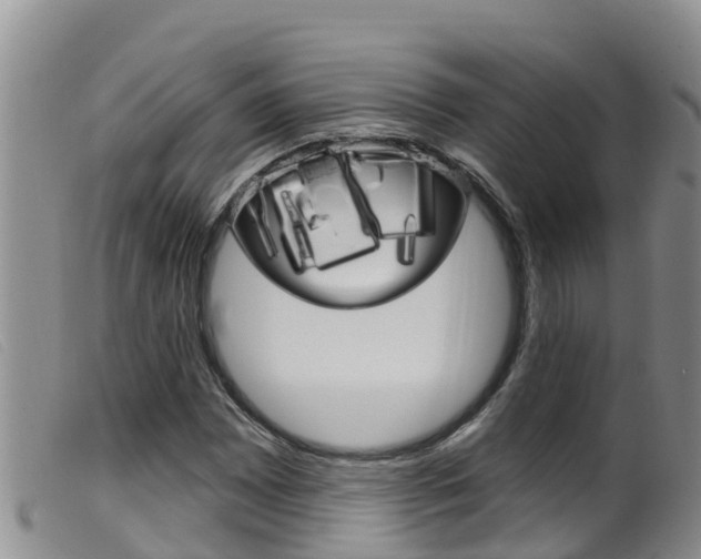 X0000099961065200805231021