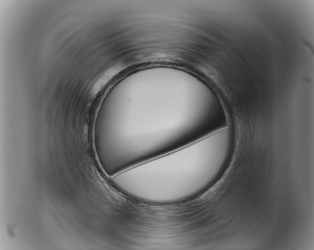 X0000099961066200805231021