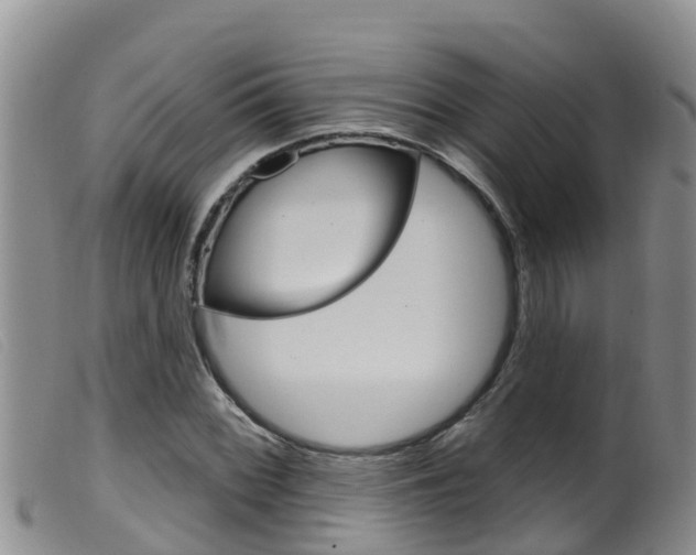 X0000099961068200805231021