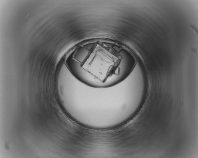 X0000099961069200805231021