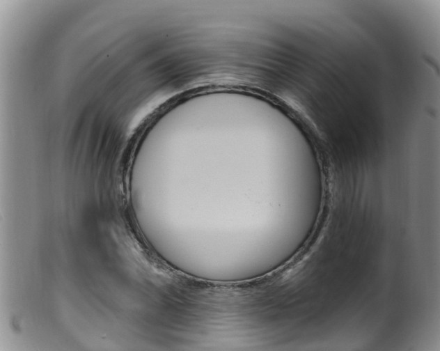X0000099961070200805231021