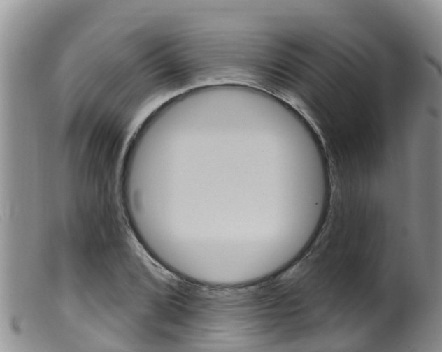 X0000099961072200805231021