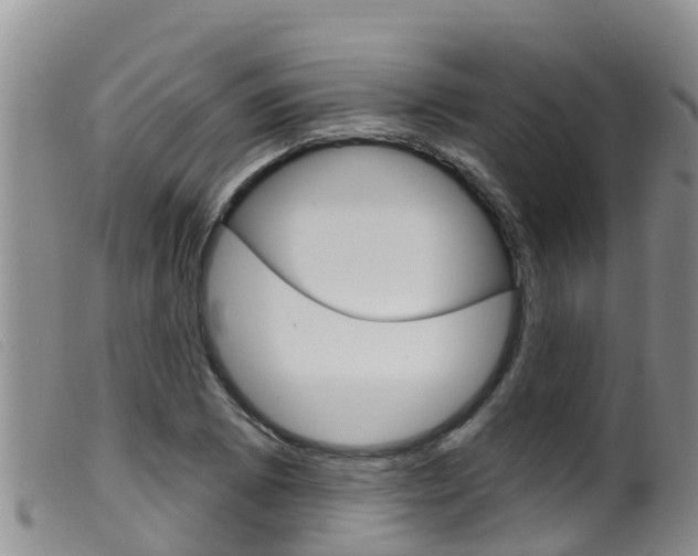 X0000099961073200805231021