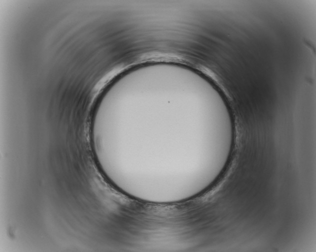 X0000099961074200805231021