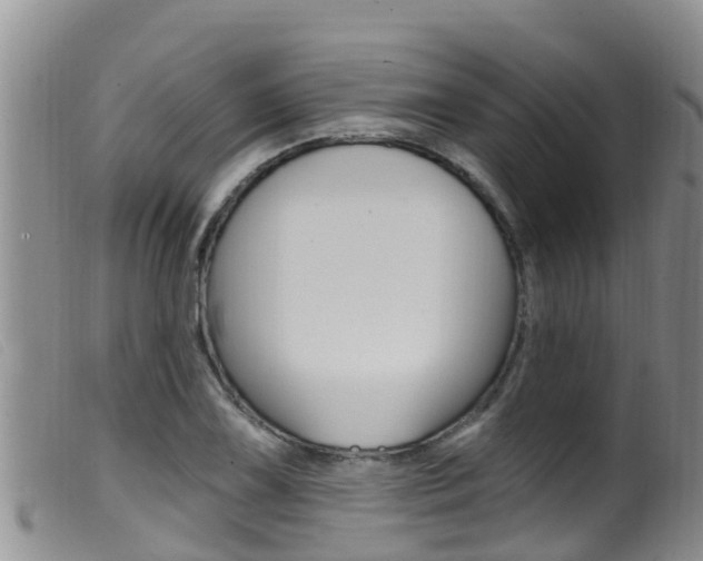 X0000099961075200805231021