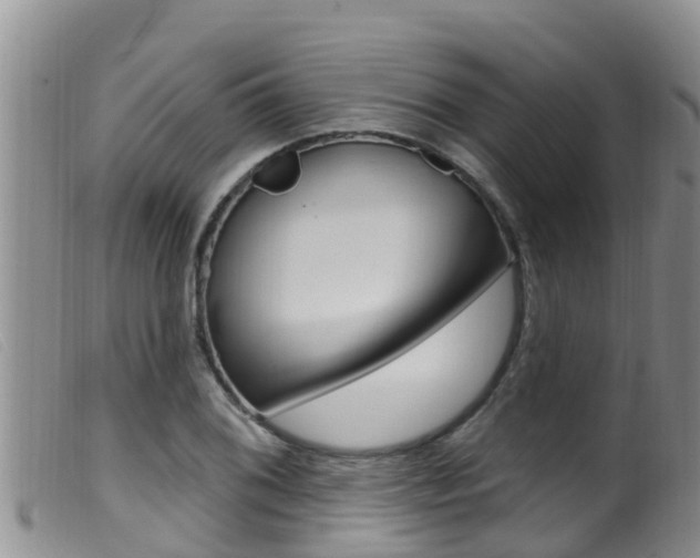 X0000099961076200805231021